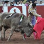 Miguel A. Perera en San Cristóbal. (FOTO: Jorge Cepeda/Burladero.com)